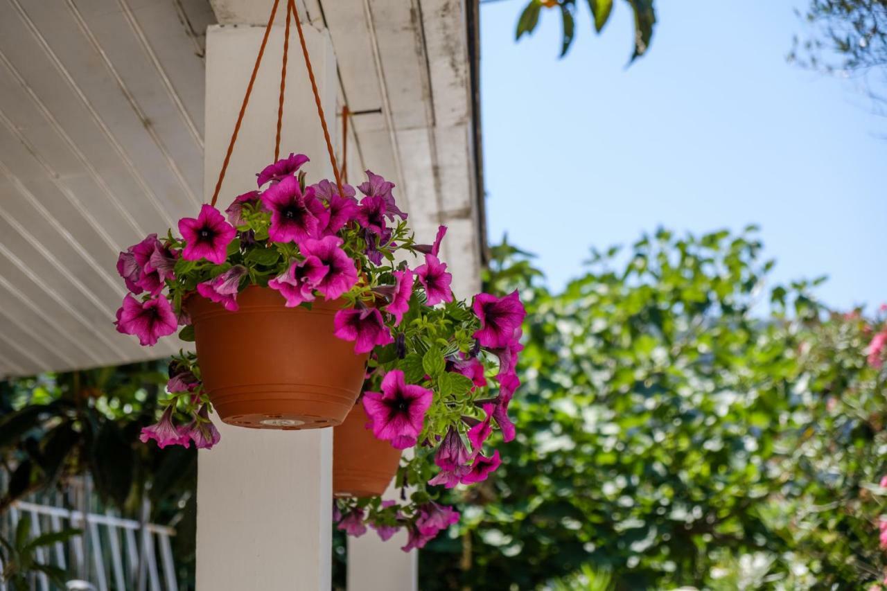 Cuore Di Milka Apartments Veli Lošinj Εξωτερικό φωτογραφία